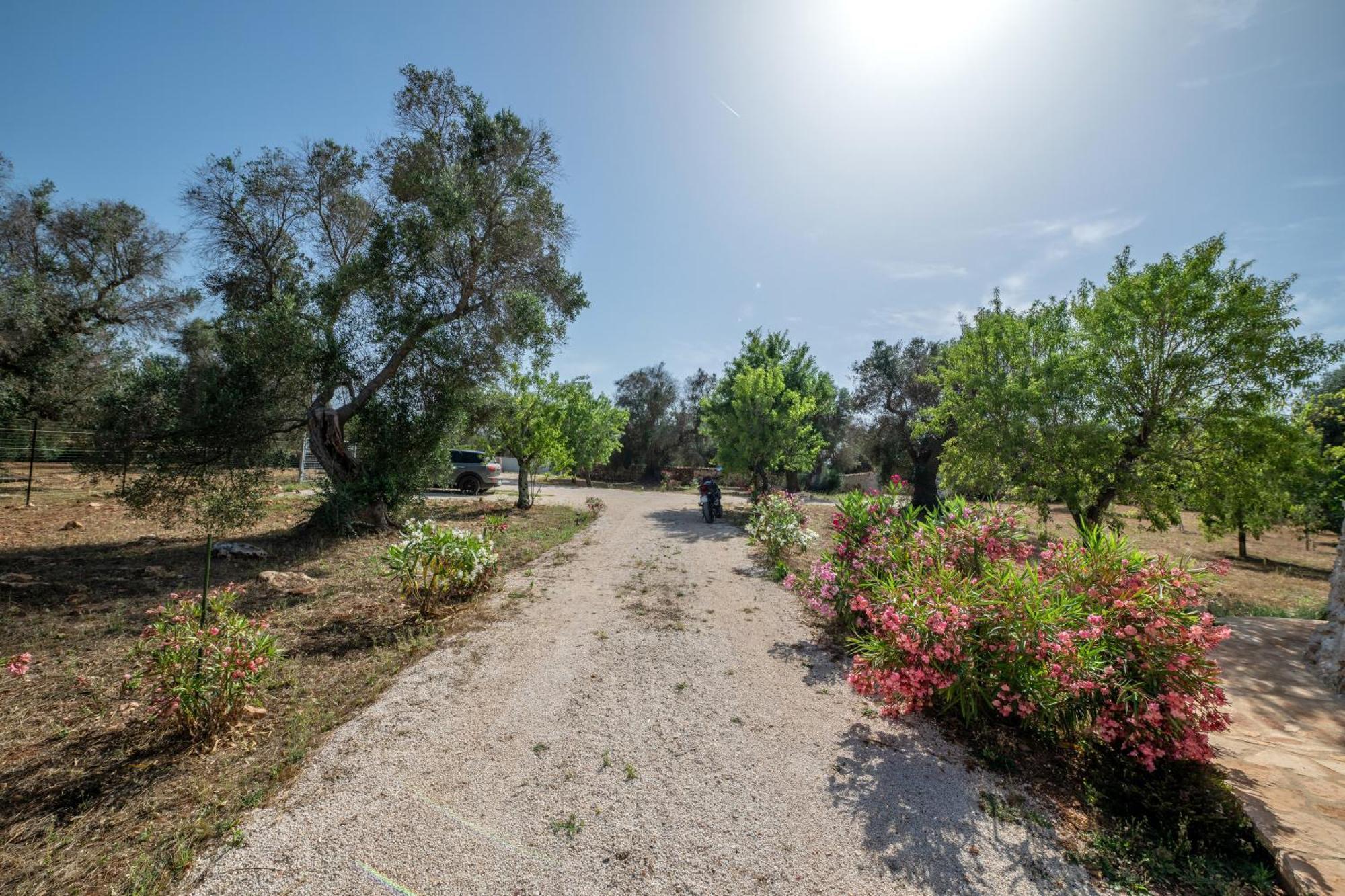 Villa Il Trullo Di Mariangela à Ceglie Messapica Extérieur photo